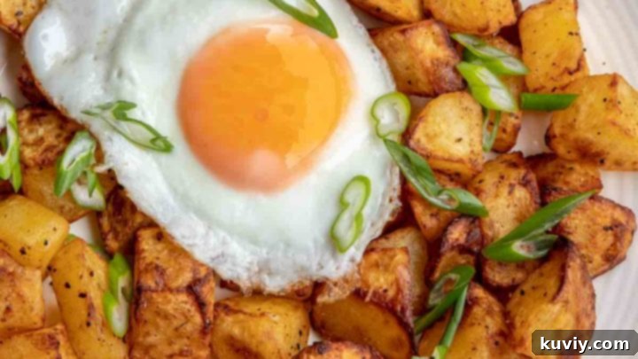Tasty Breakfast Potatoes in the Air Fryer