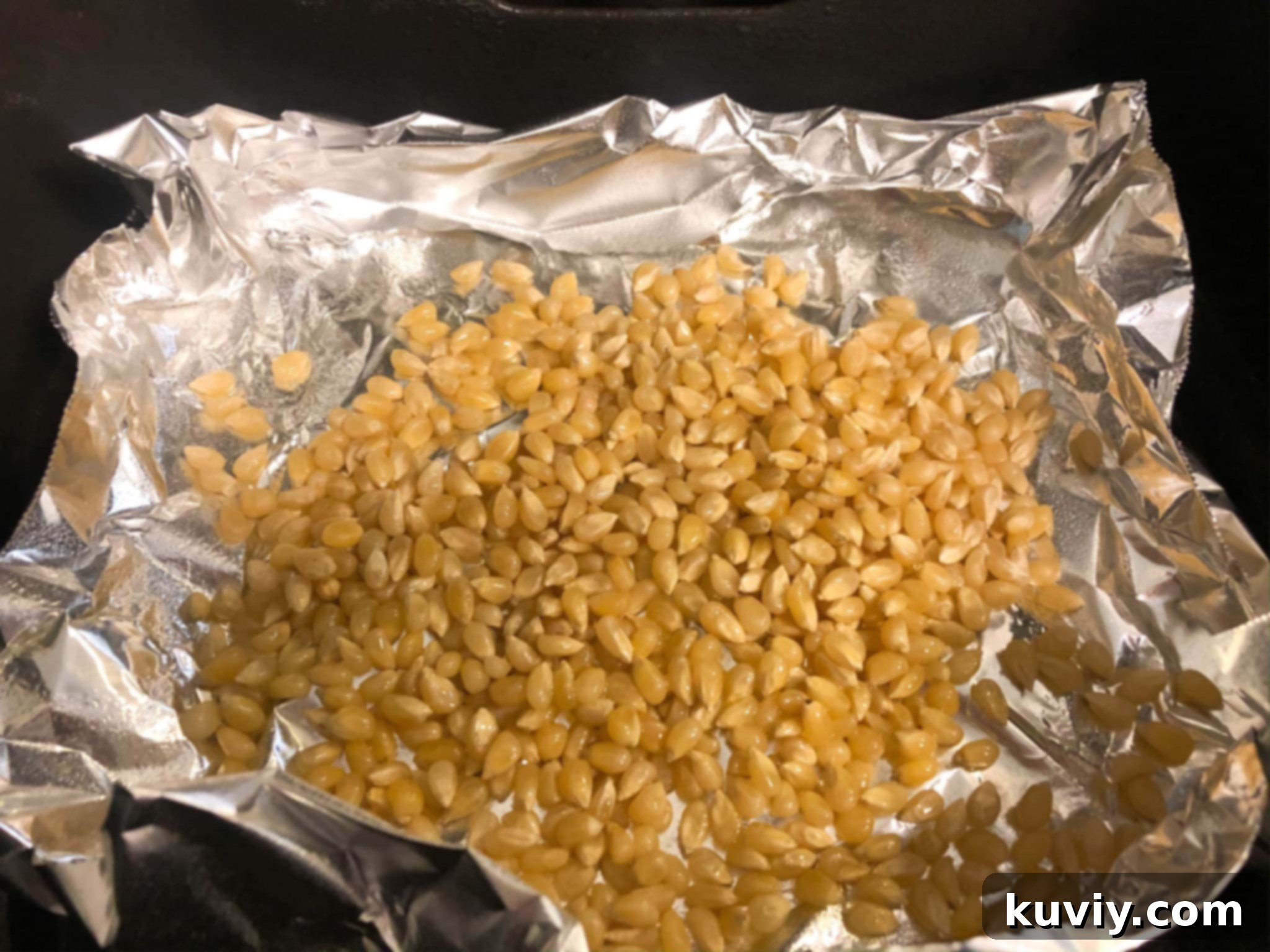 Air Fryer Popcorn