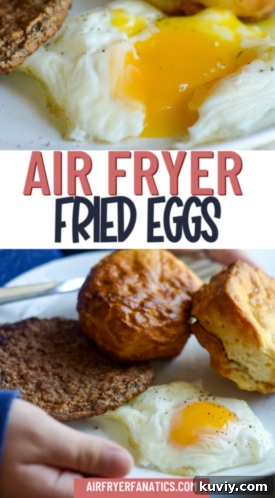 Air Fryer Eggs 7 Delicious air fried eggs served on a plate with fresh parsley, ready to be enjoyed