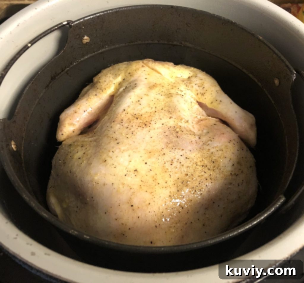 air fryer whole chicken