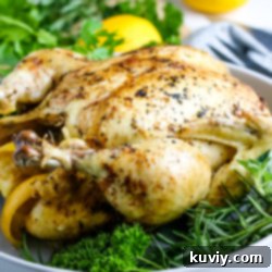 Air Fryer Whole Chicken