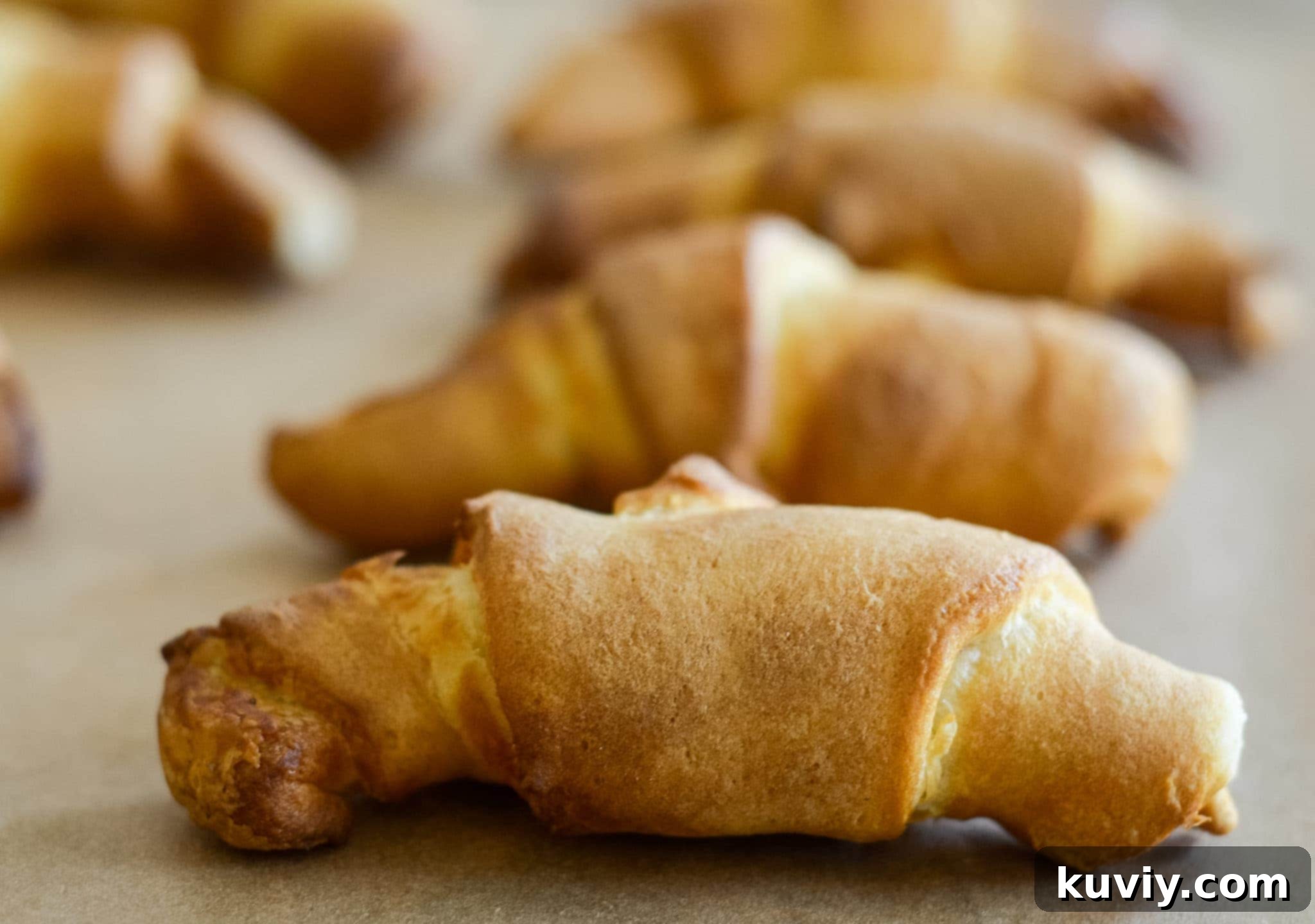 Whip Up Air Fryer Crescent Rolls in Eight Minutes 5 Easy Air Fryer Crescent Rolls