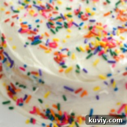 Easy Air Fryer Cake (Gluten-Free) with frosting and sprinkles