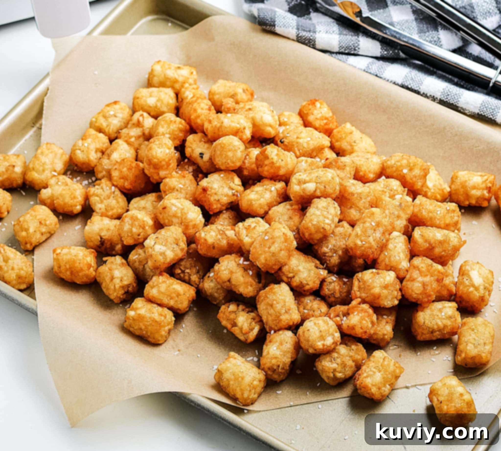 air fryer tater tots