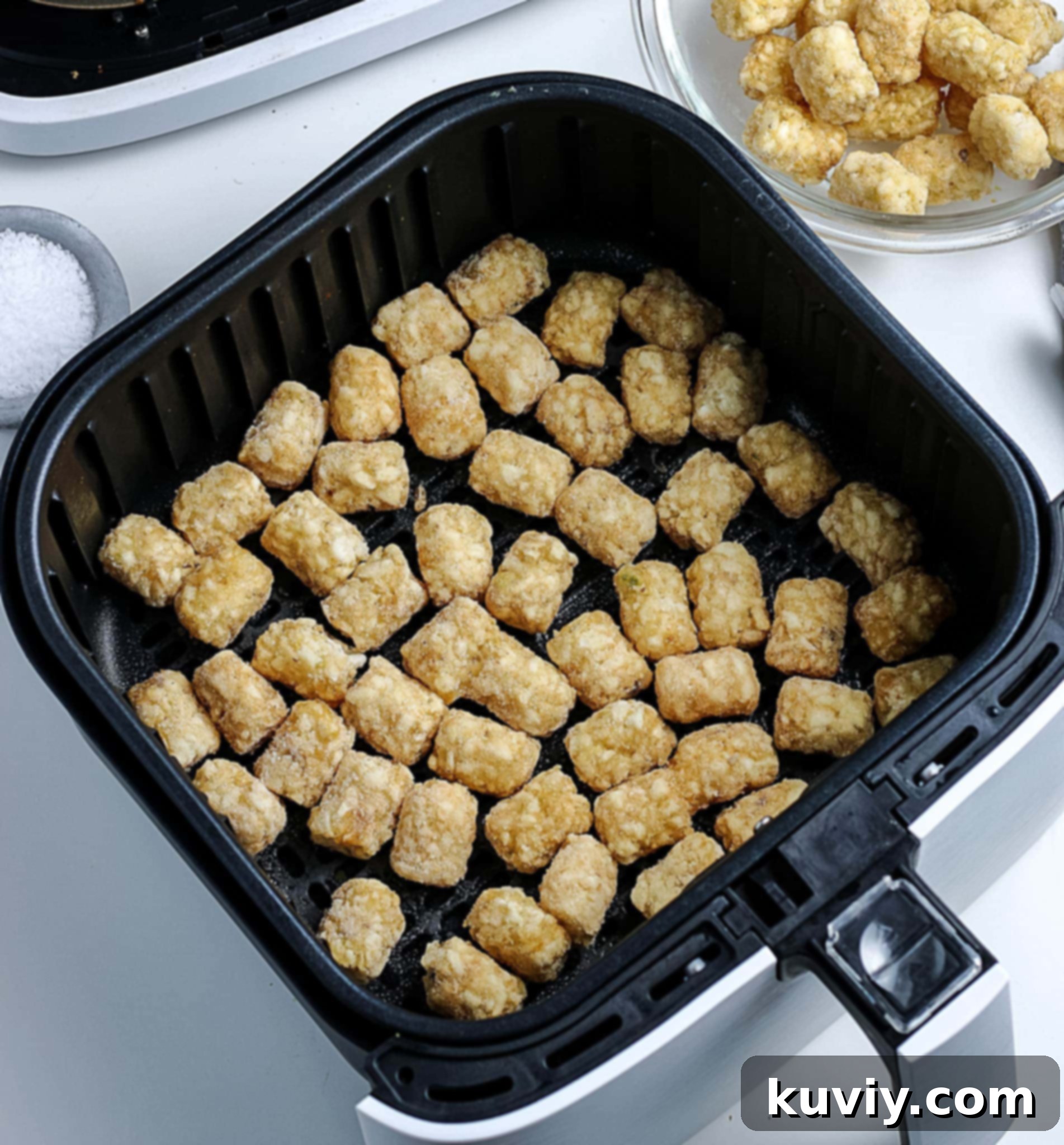 air fryer tater tots