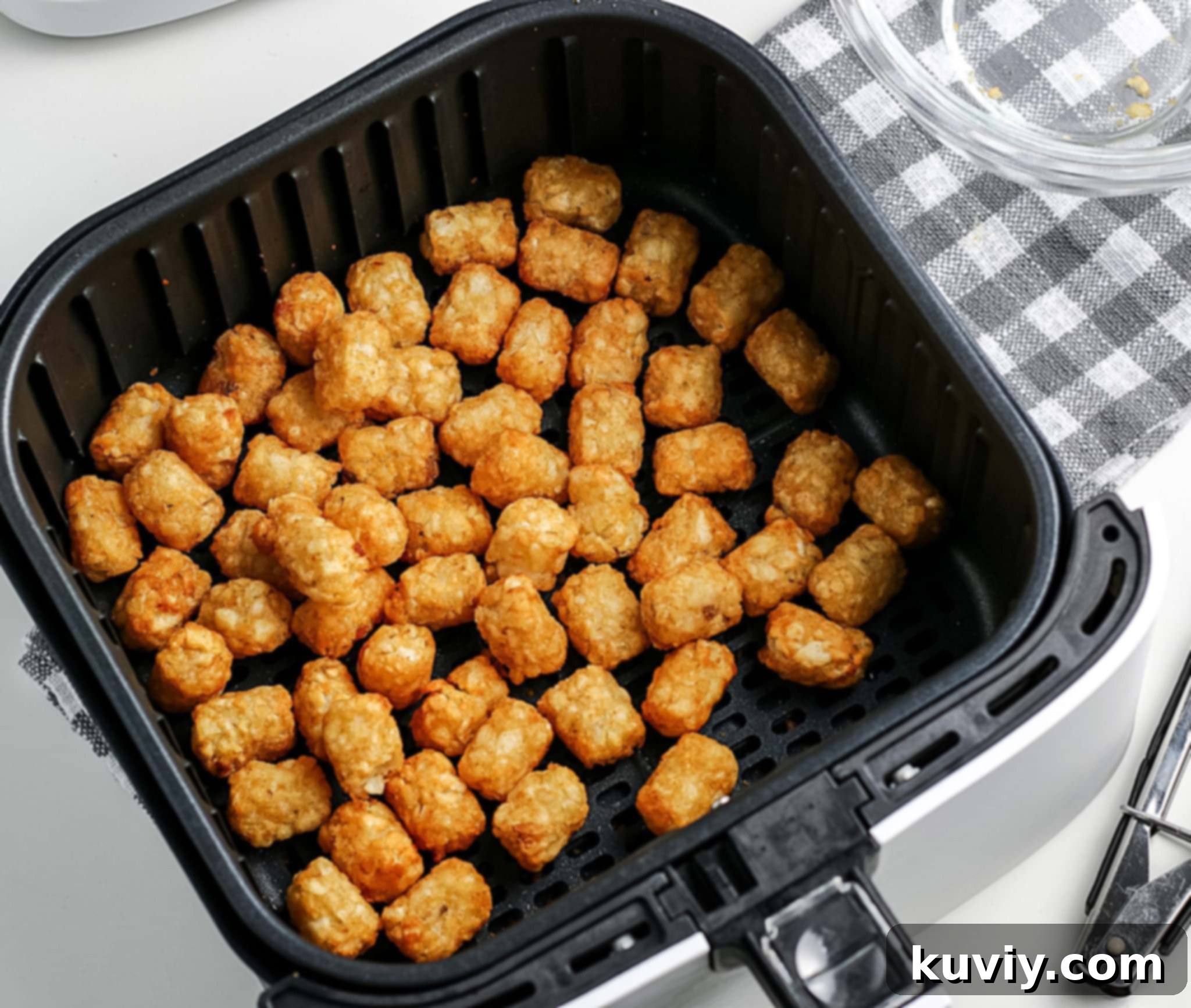 air fryer tater tots