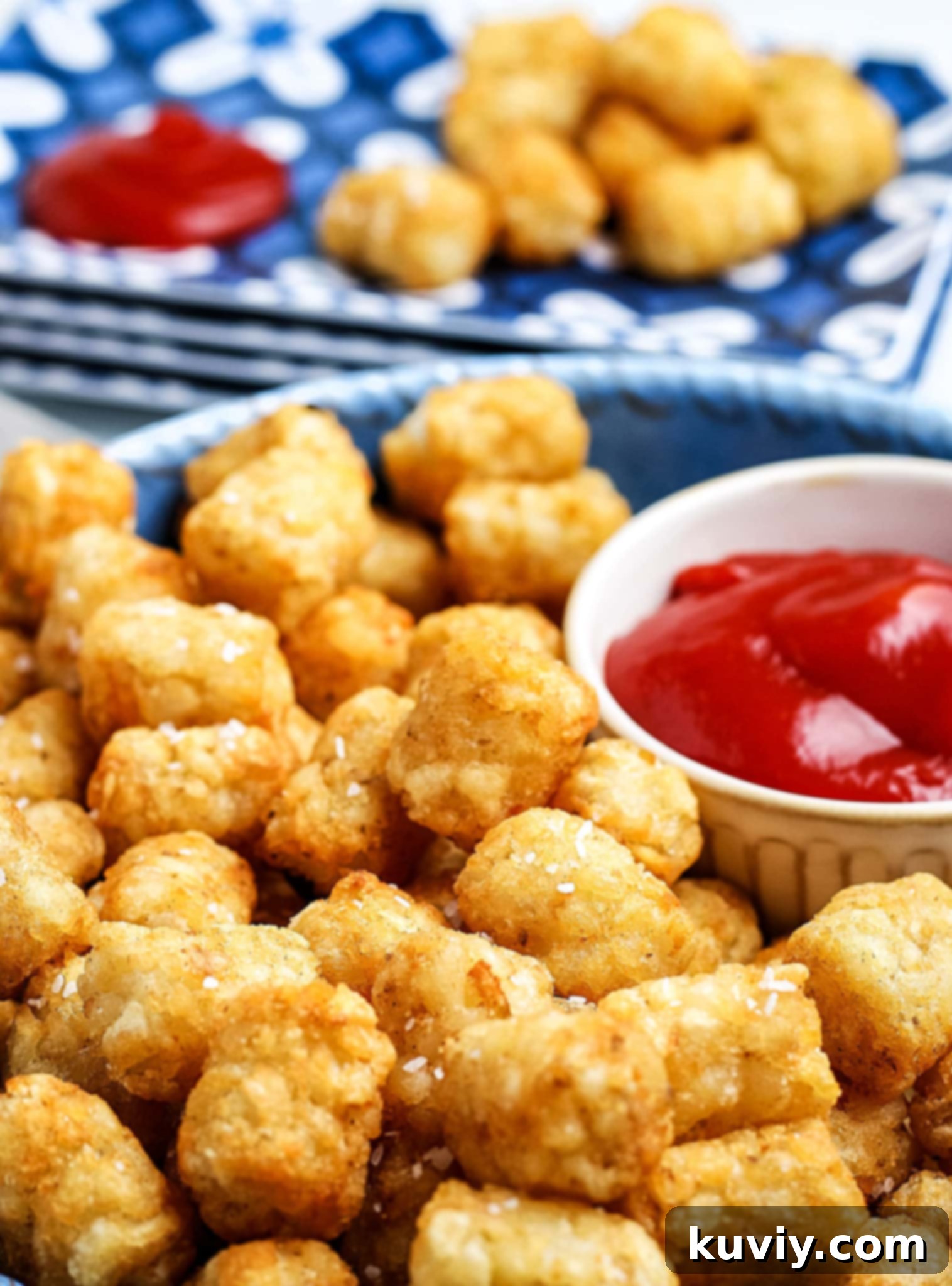 air fryer tater tots