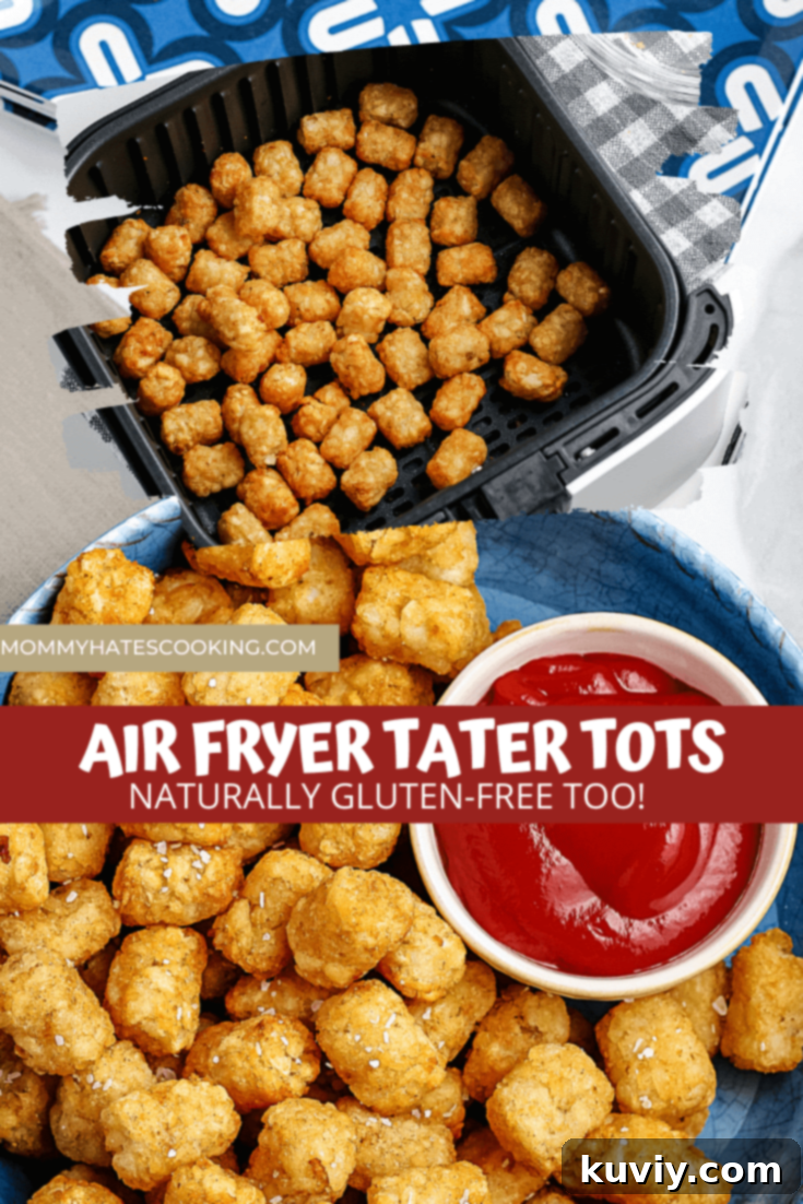 air fryer tater tots
