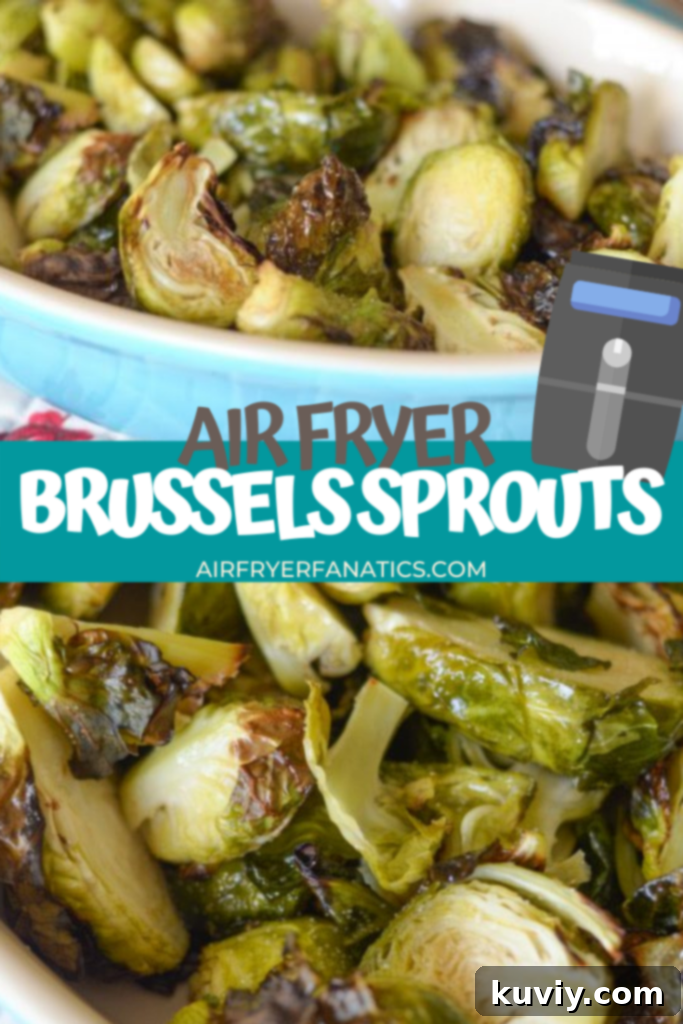Crispy Air Fryer Brussels Sprouts, perfectly cooked and seasoned, ready to serve as a delicious side dish.