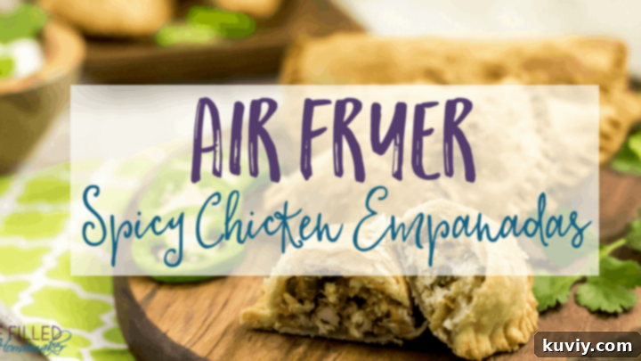 Air Fryer Spicy Mexican Shredded Chicken Empanadas