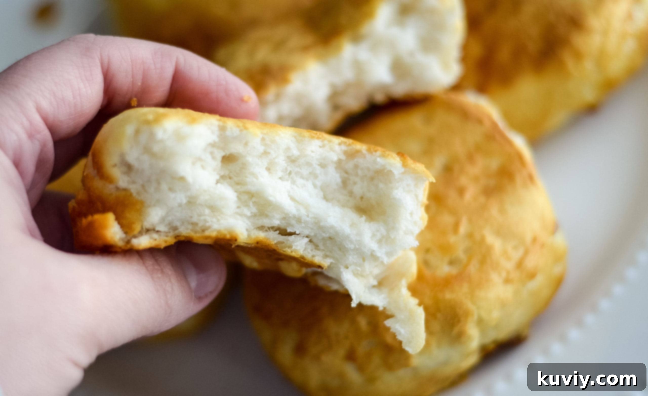 Air Fryer Biscuits Ready in Eight Minutes 5 air fryer biscuits
