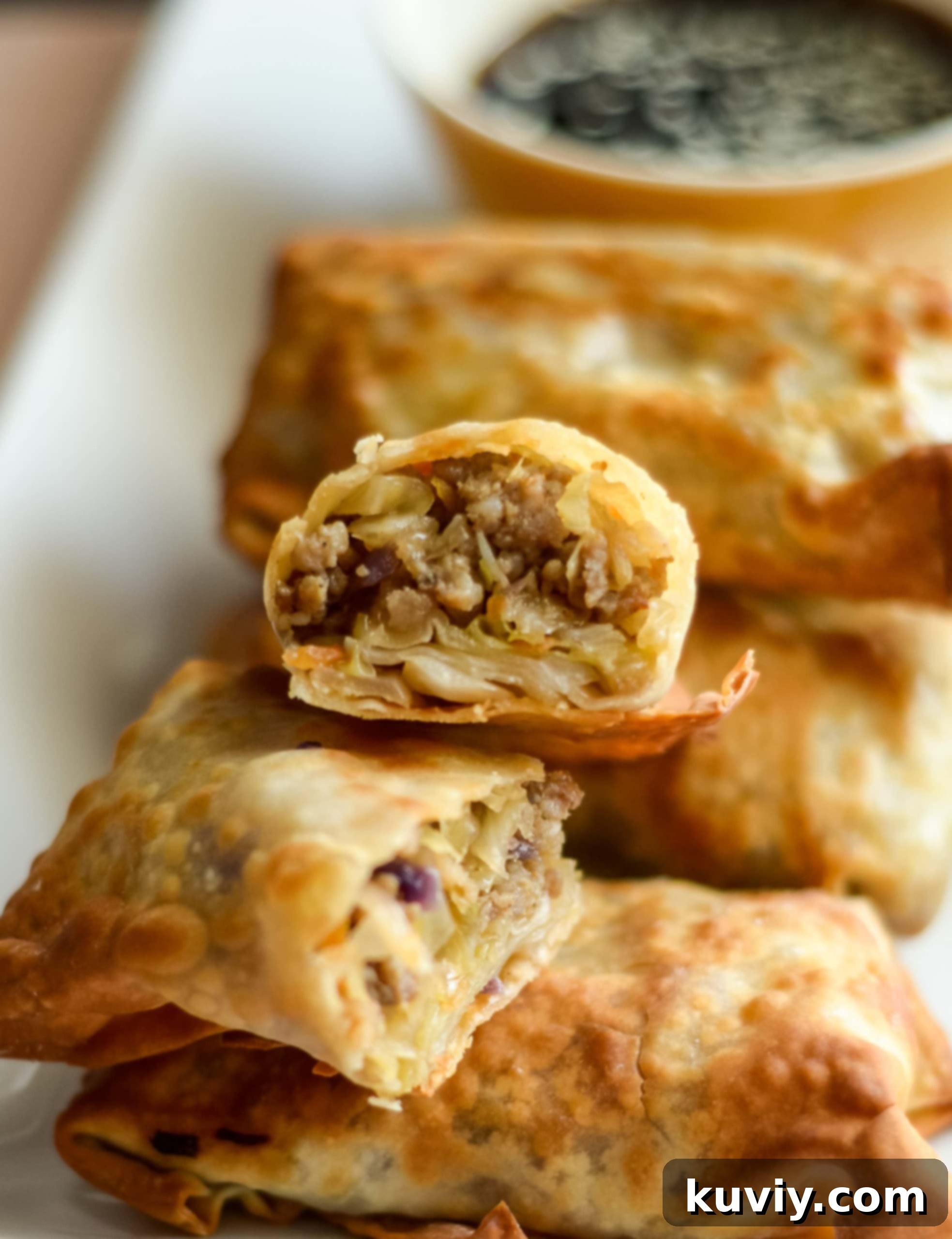 Ninja Foodi Air Fryer Egg Rolls 2 Crispy Air Fryer Egg Rolls ready to be served