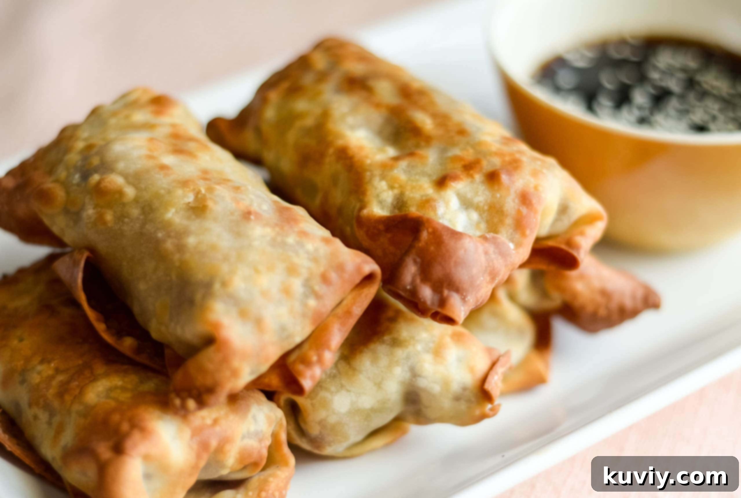 Ninja Foodi Air Fryer Egg Rolls 6 Ninja Foodi preparing egg rolls