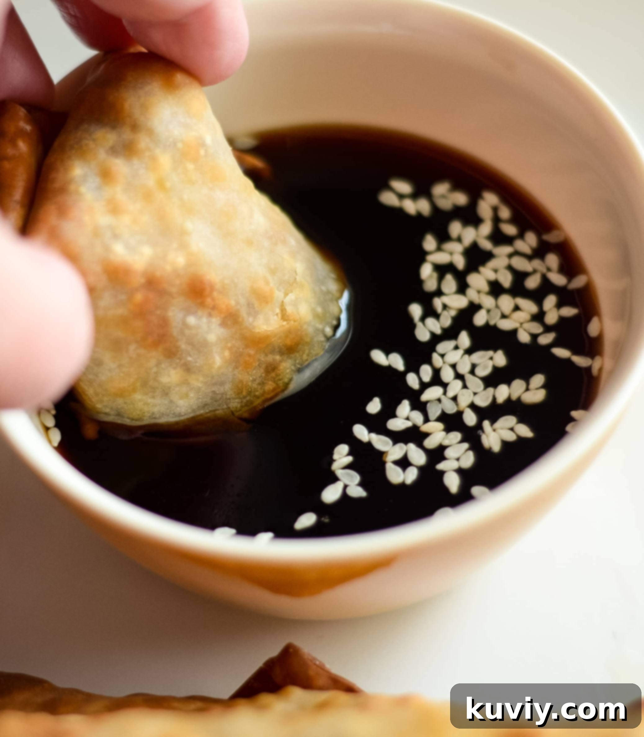 Ninja Foodi Air Fryer Egg Rolls 8 Plate of homemade air fryer egg rolls