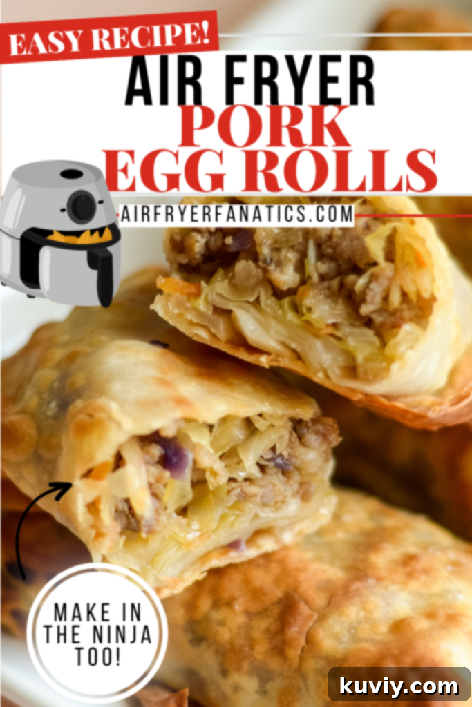Ninja Foodi Air Fryer Egg Rolls 10 AIR FRYER EGG ROLLS on a serving platter