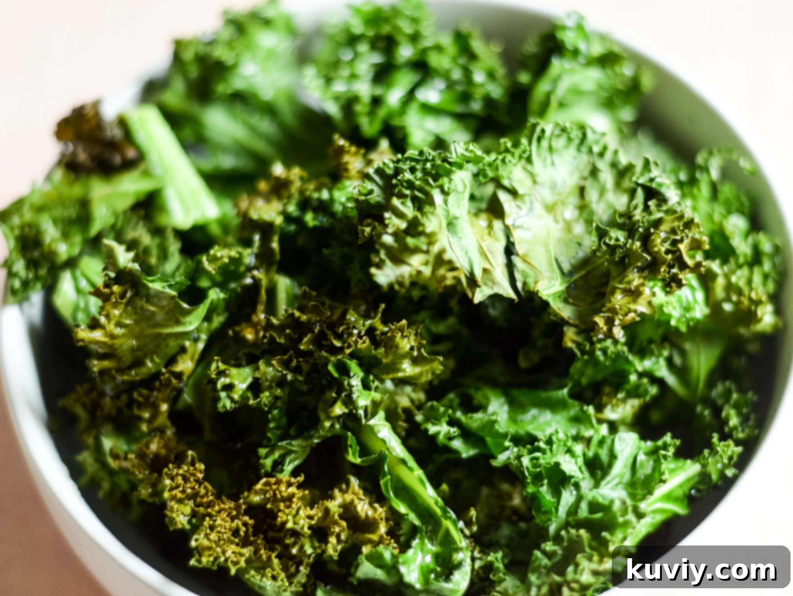 Air fryer kale chips stored in an airtight container