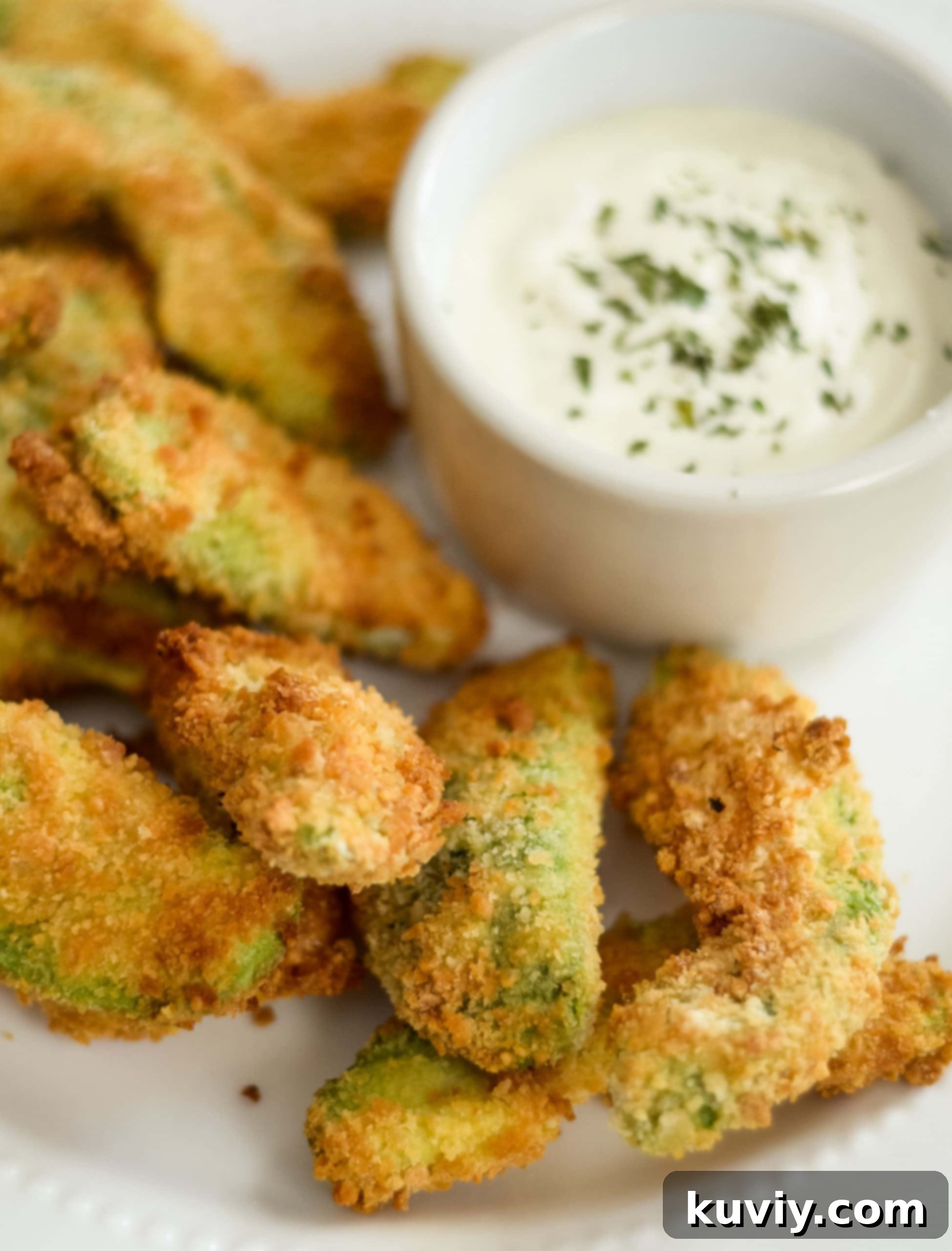 air fryer avocado fries