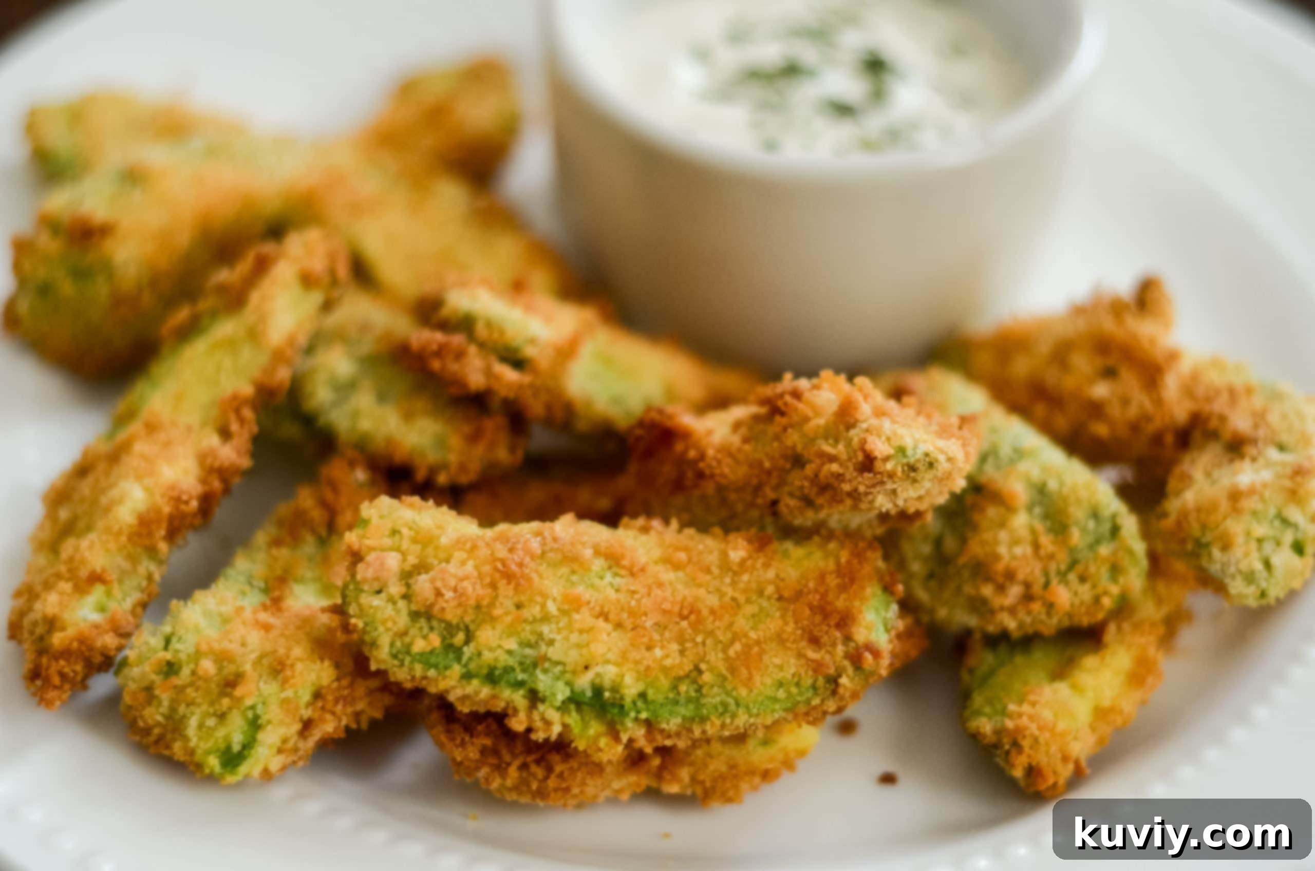 air fryer avocado fries