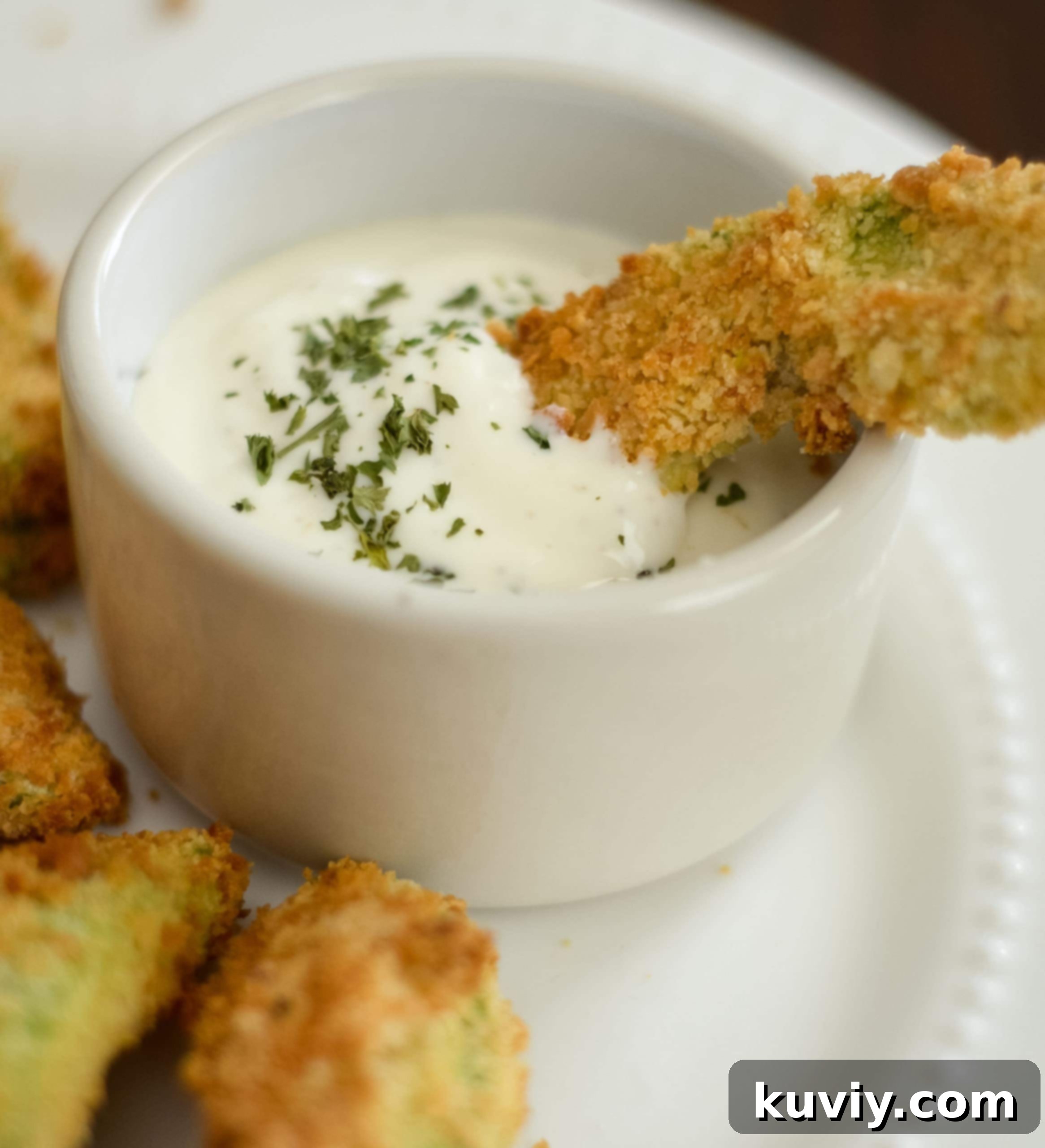 air fryer avocado fries