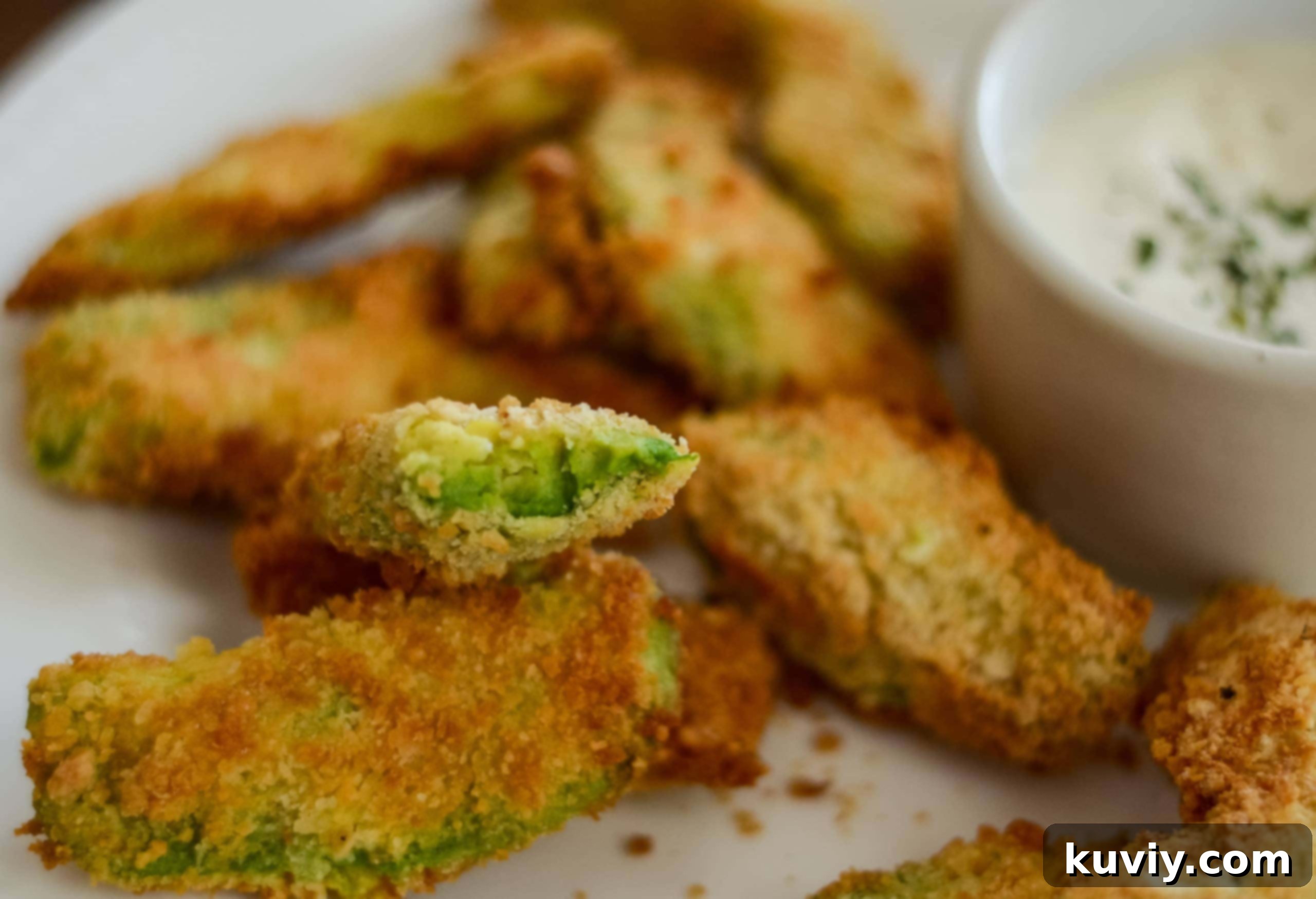 air fryer avocado fries