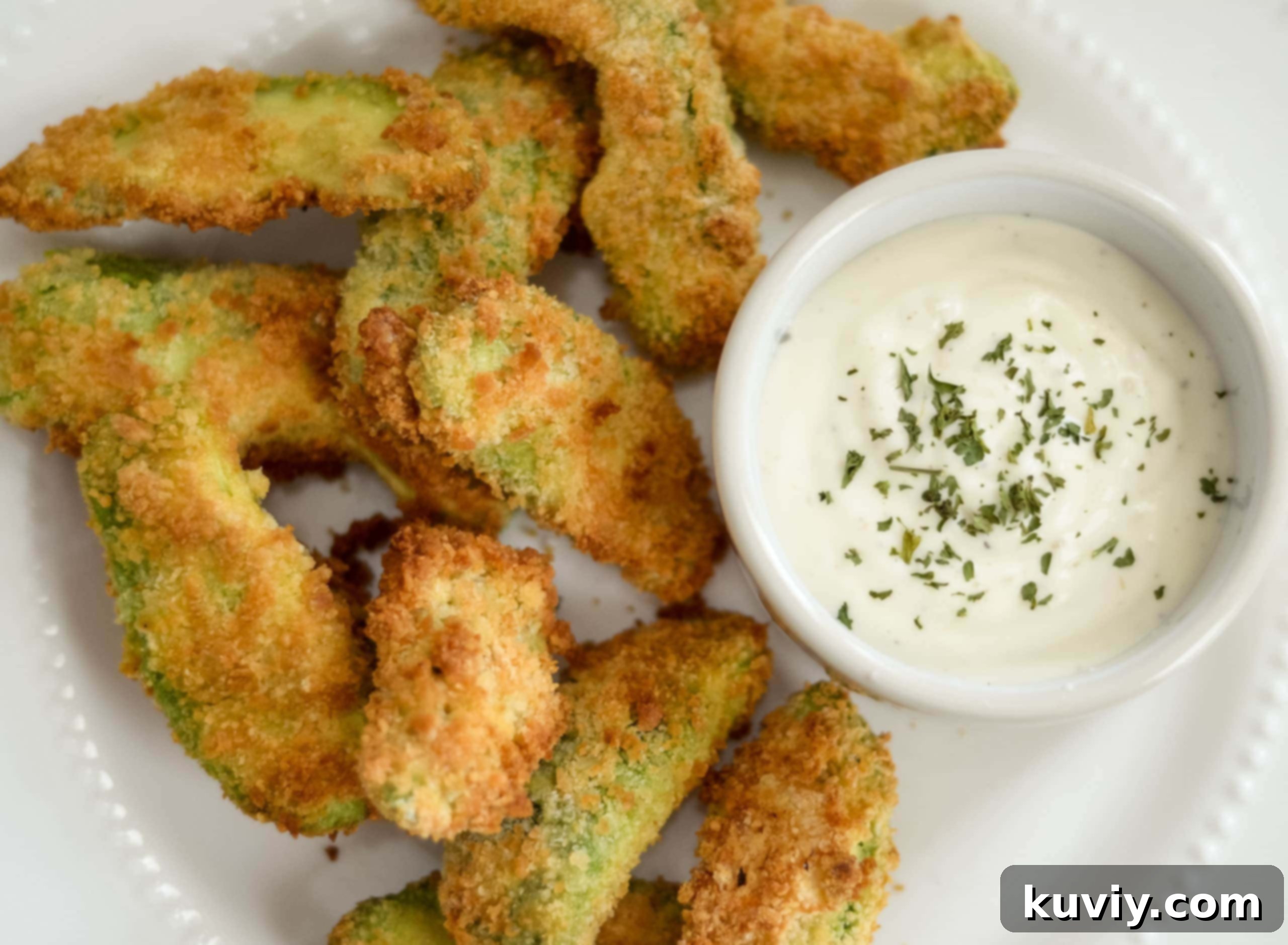 air fryer avocado fries