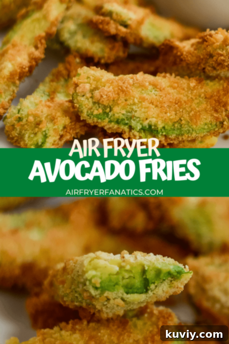 AIR FRYER AVOCADO FRIES