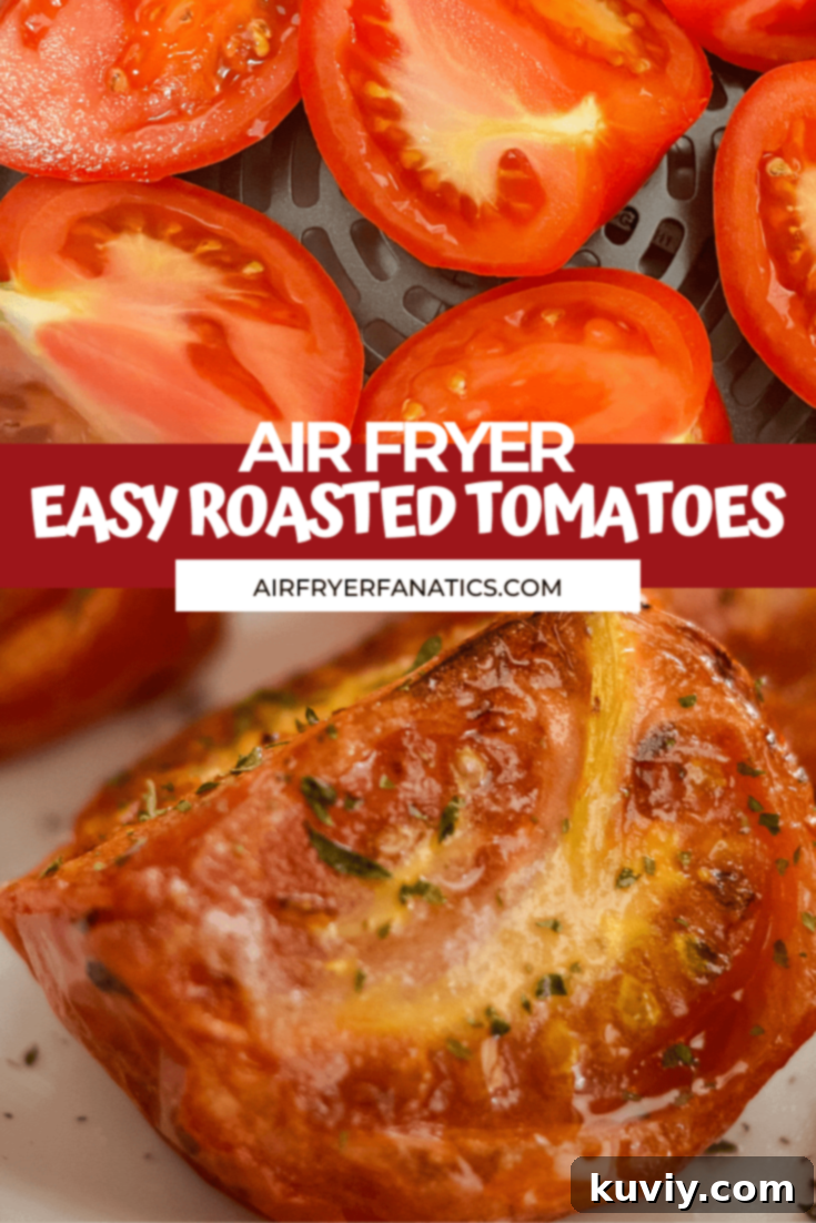 air fryer roasted tomatoes - close up hero shot