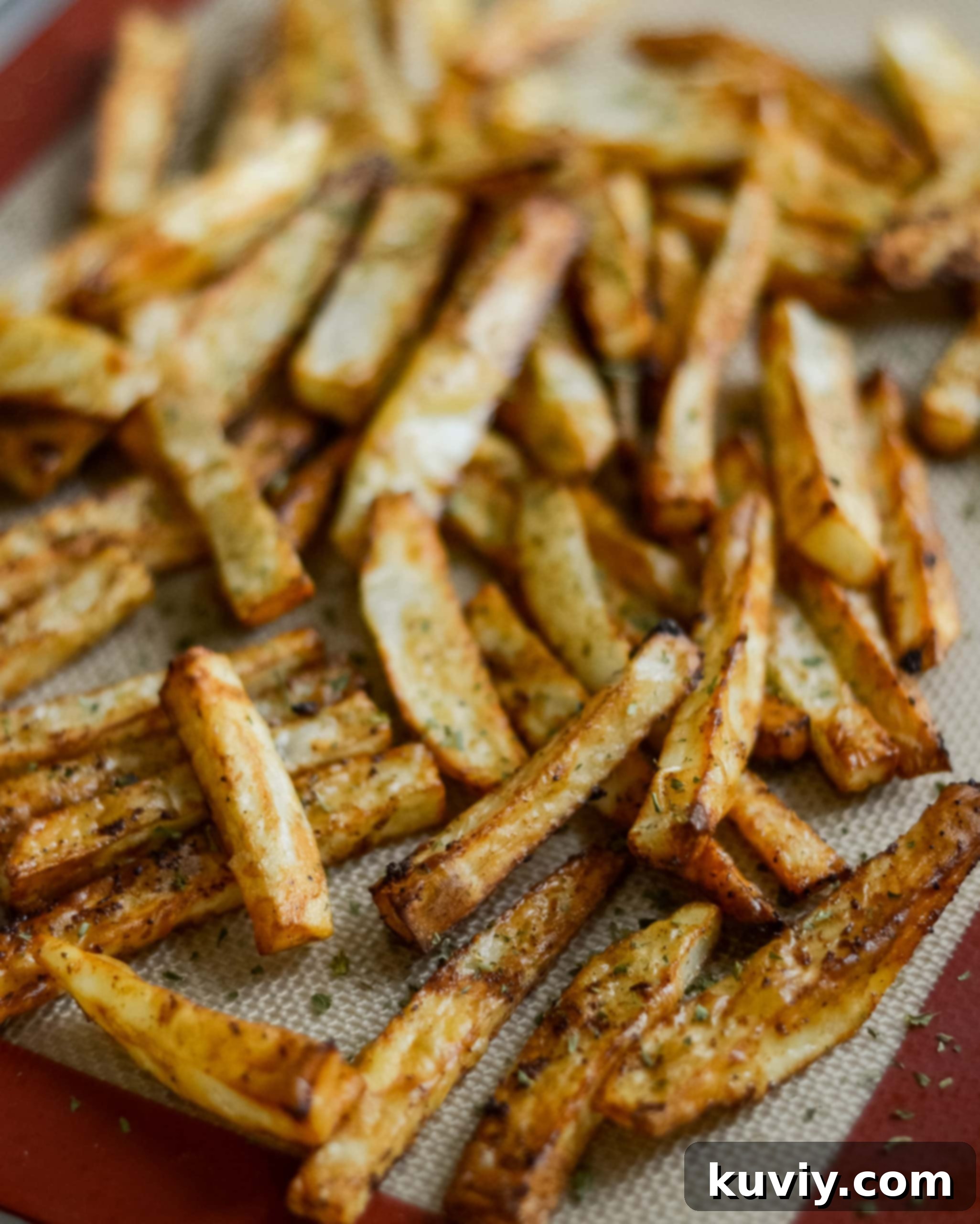 air fryer french fries being served
