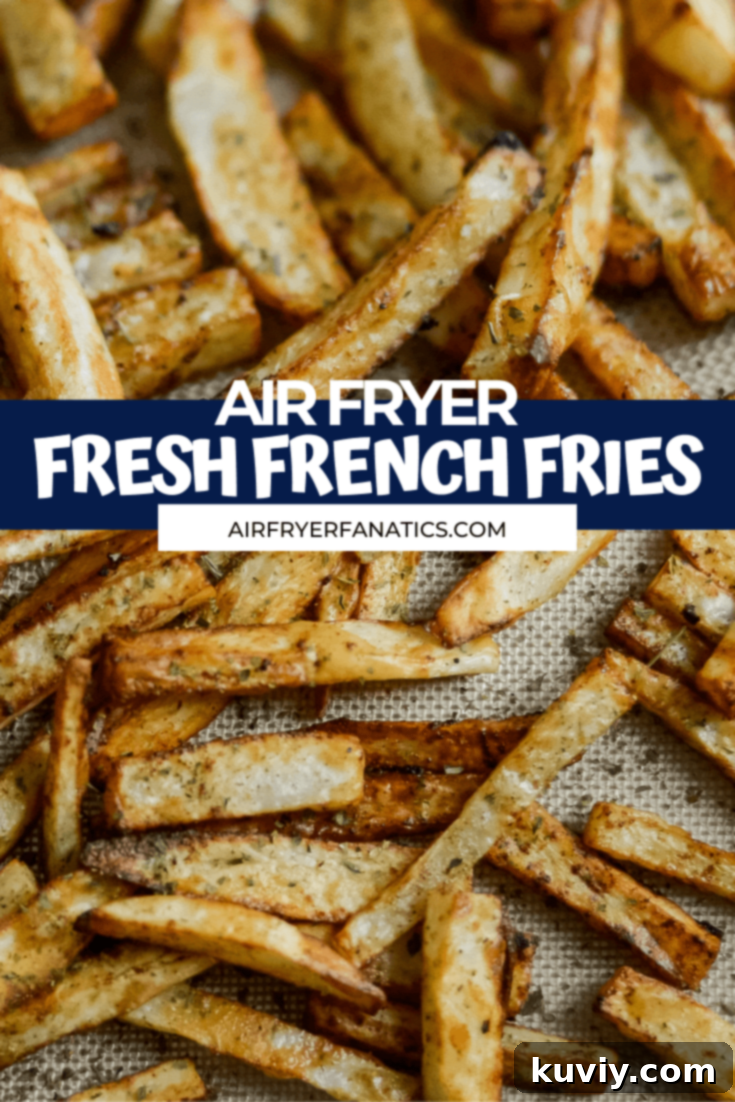 serving of crispy air fryer french fries