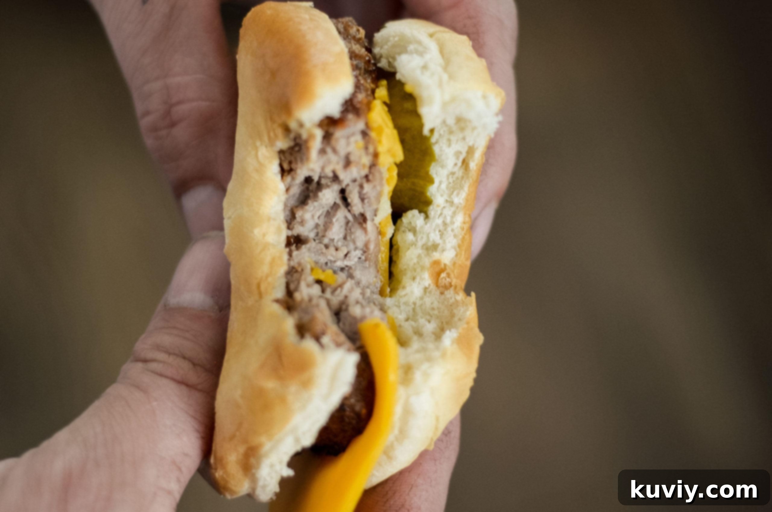 The Ultimate Air Fryer Turkey Burgers 5 air fryer turkey burgers