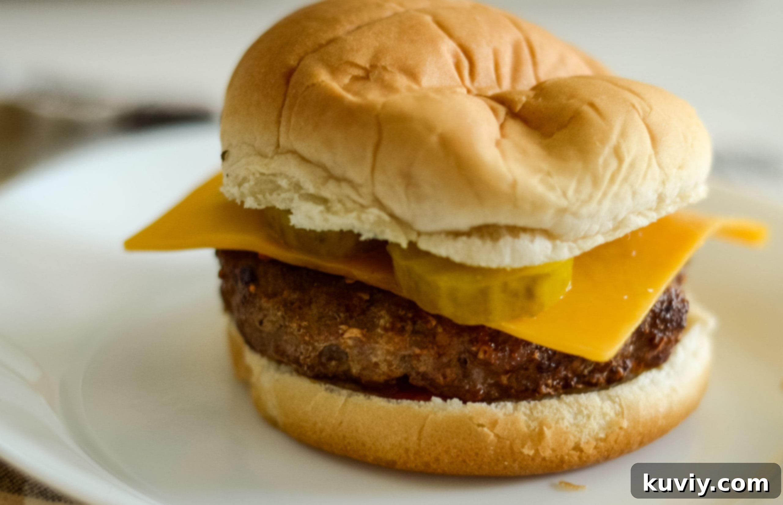 The Ultimate Air Fryer Turkey Burgers 6 air fryer turkey burgers