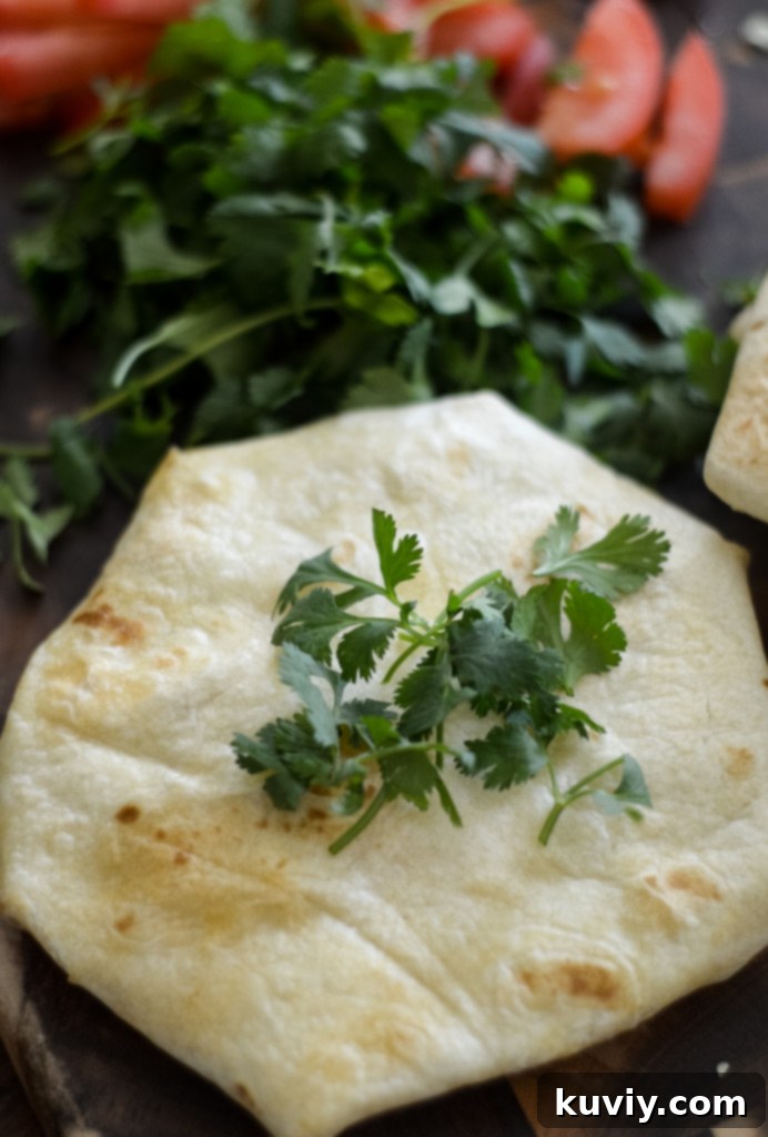 Taco seasoning options for your Air Fryer Crunchwrap recipe