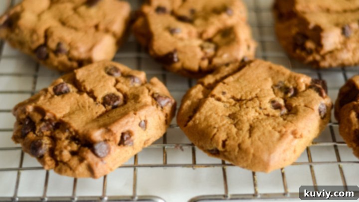 Warm and soft Toll House Cookies cooked in an air fryer