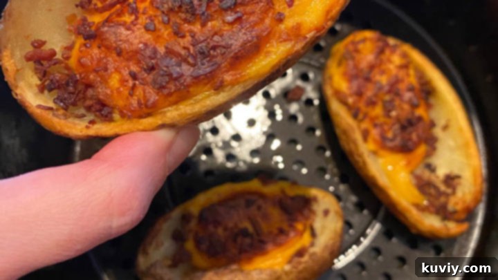Crispy Air Fryer Frozen Potato Skins