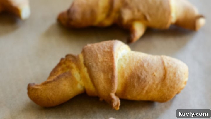 Flaky Air Fryer Crescent Rolls