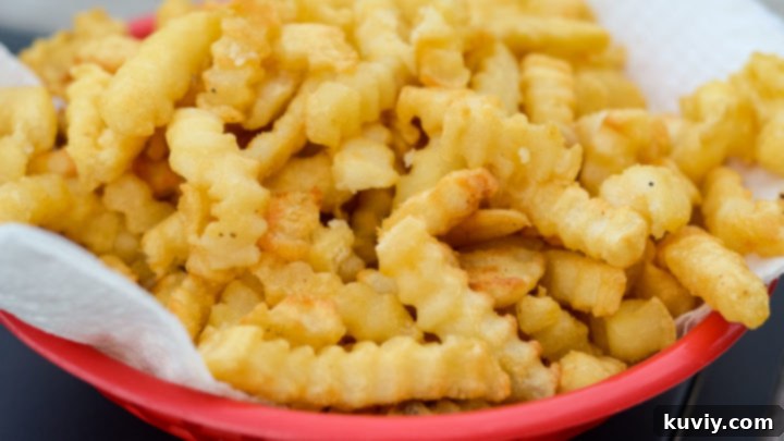 Crispy Air Fryer French Fries made from frozen