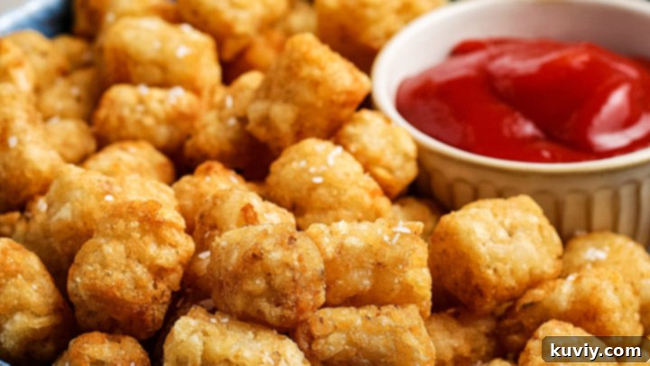 Perfectly crispy Air Fryer Tater Tots from frozen