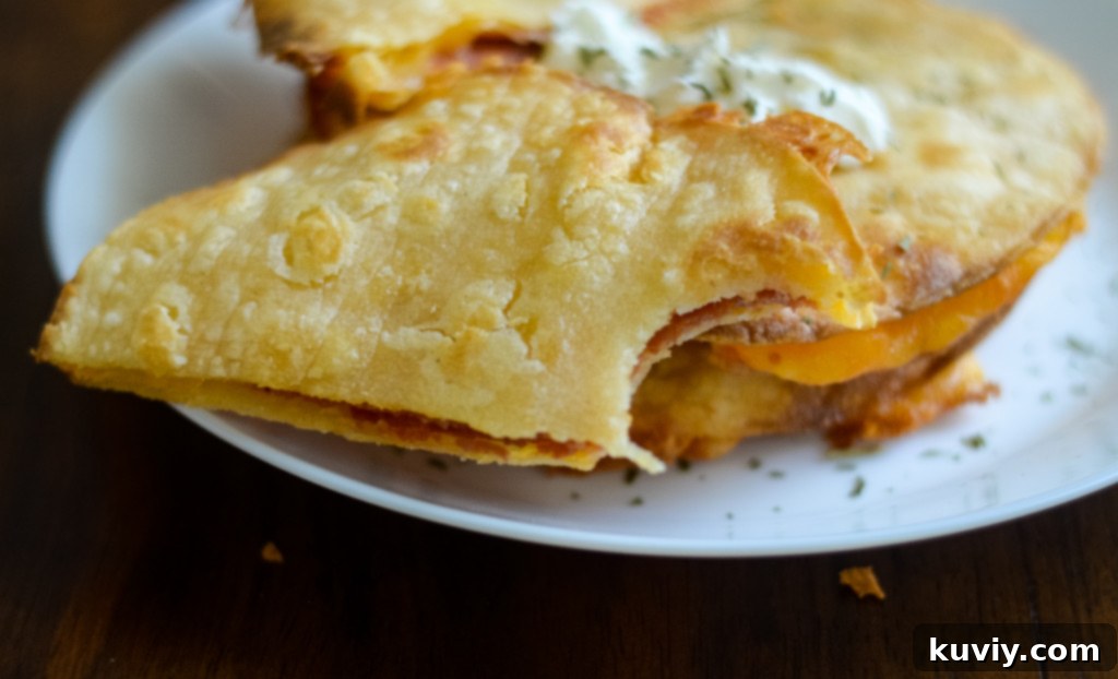 Air fryer quesadillas showing melted cheese