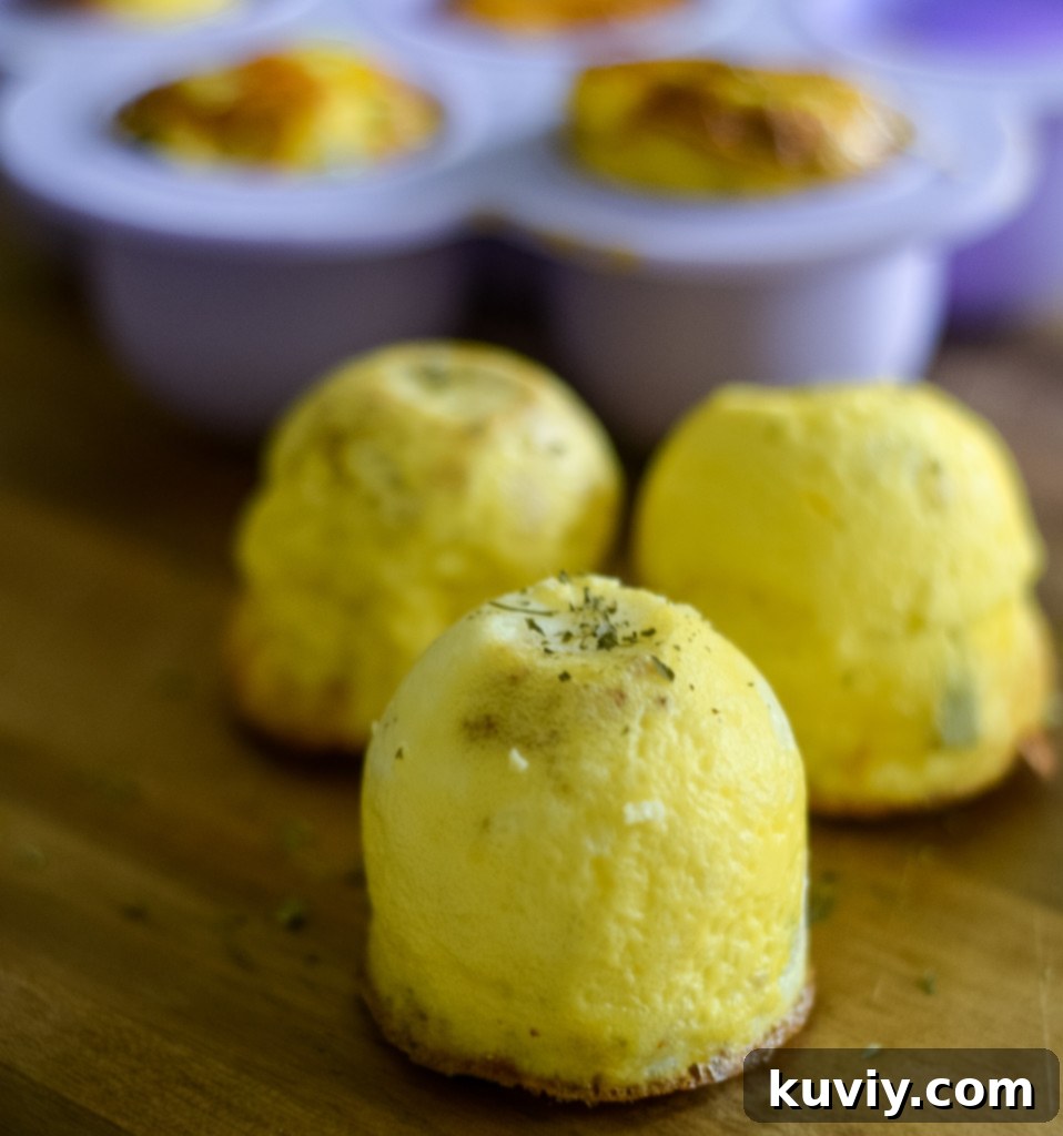 air fryer egg bites