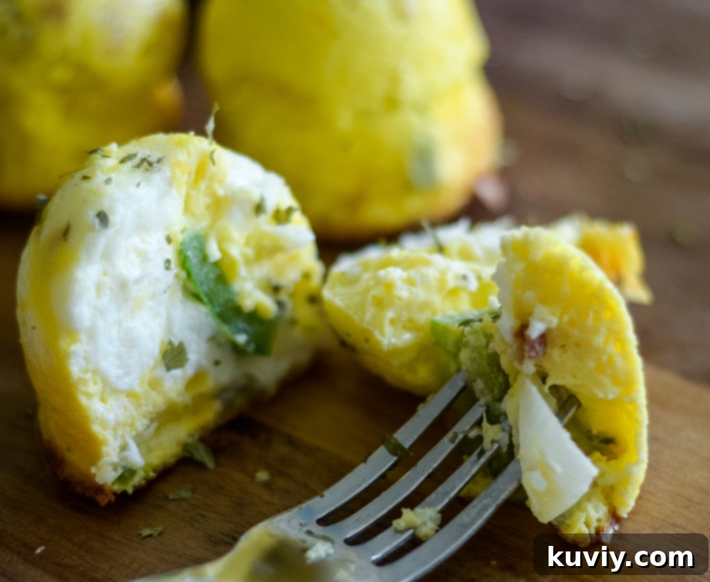 air fryer egg bites
