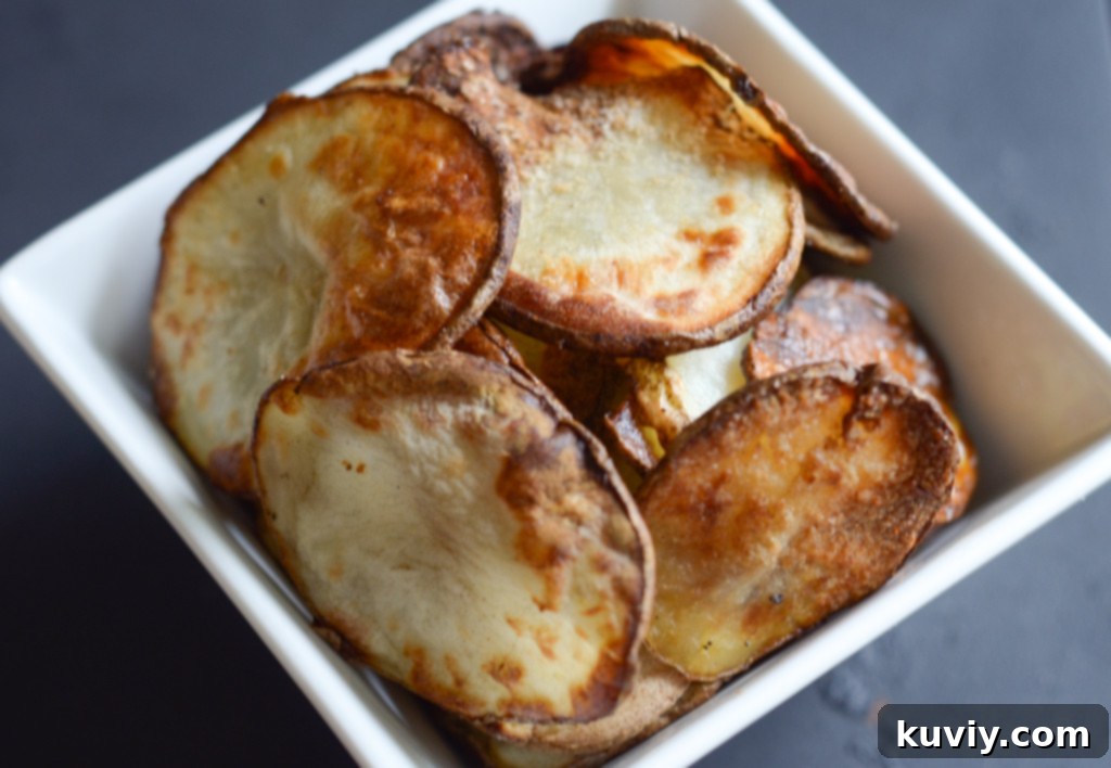 freshly made air fryer potato chips