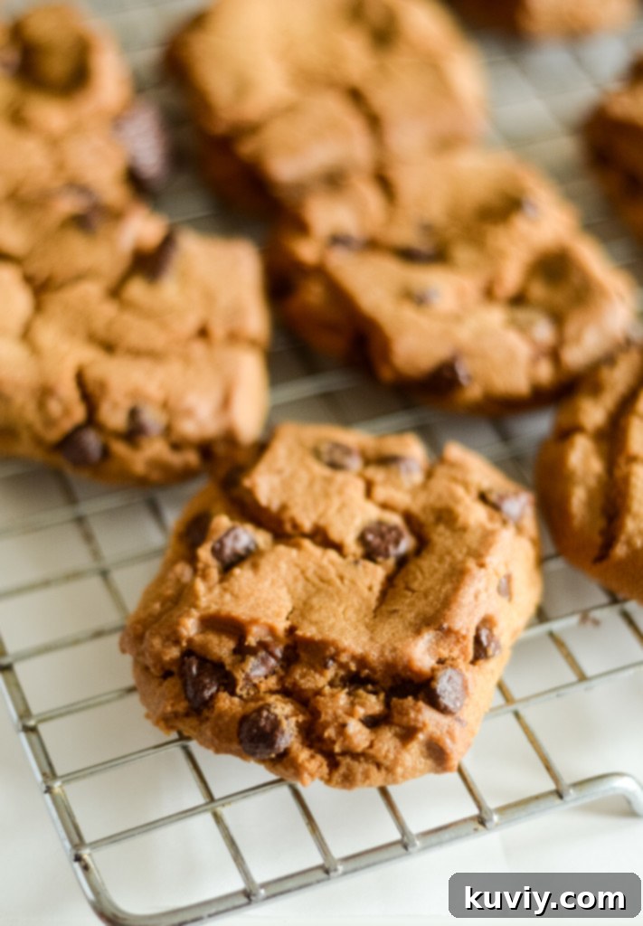 Air Fryer Toll House Cookie Perfection 2 Perfectly baked Toll House Cookies in the Air Fryer