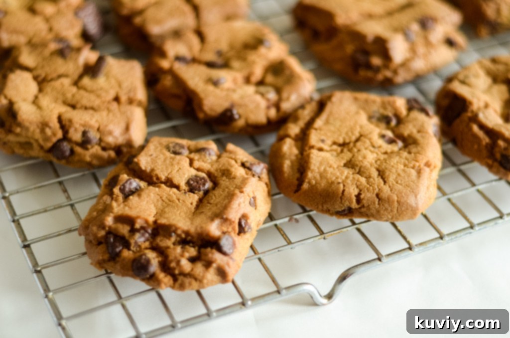 Air Fryer Toll House Cookie Perfection 7 Freshly baked Toll House Cookies cooling on a wire rack