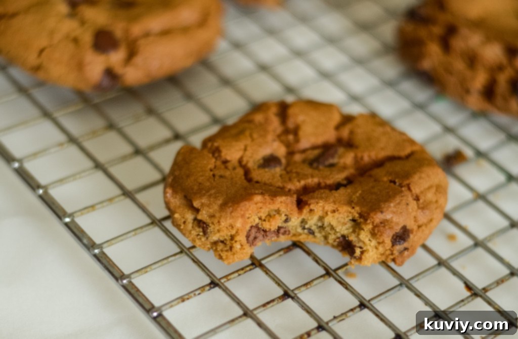 Air Fryer Toll House Cookie Perfection 8 Assorted cookies in the Air Fryer