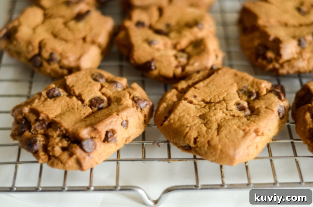 Air Fryer Toll House Cookie Perfection 9 Air fried cookies of different varieties