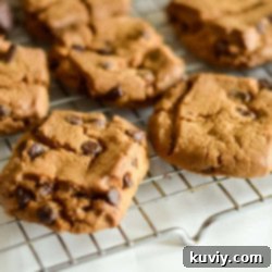 Air Fryer Toll House Cookie Perfection 10 air fryer toll house cookies