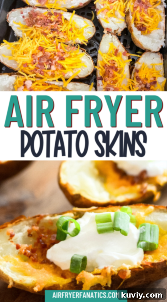 air fryer potato skins platter