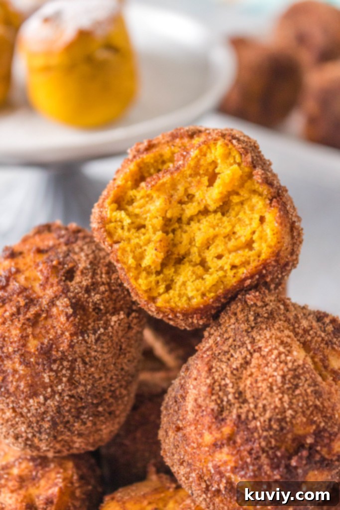 Air fryer pumpkin doughnut holes in a bowl, ready to be served, perfect for a fall breakfast.