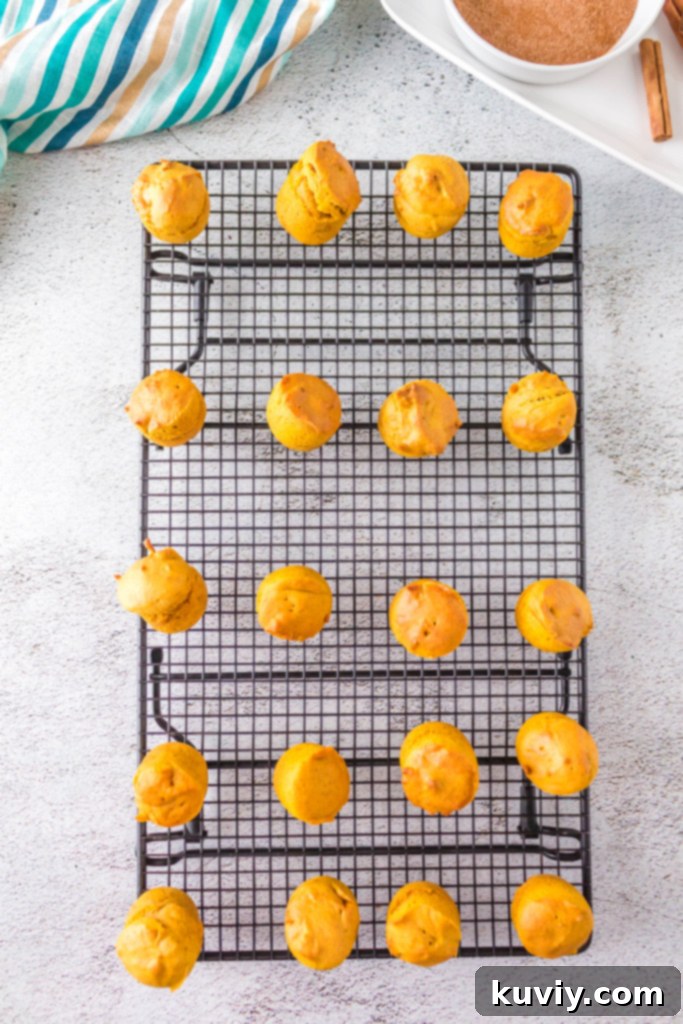Pumpkin puree, a key ingredient for flavorful air fryer pumpkin doughnut holes.