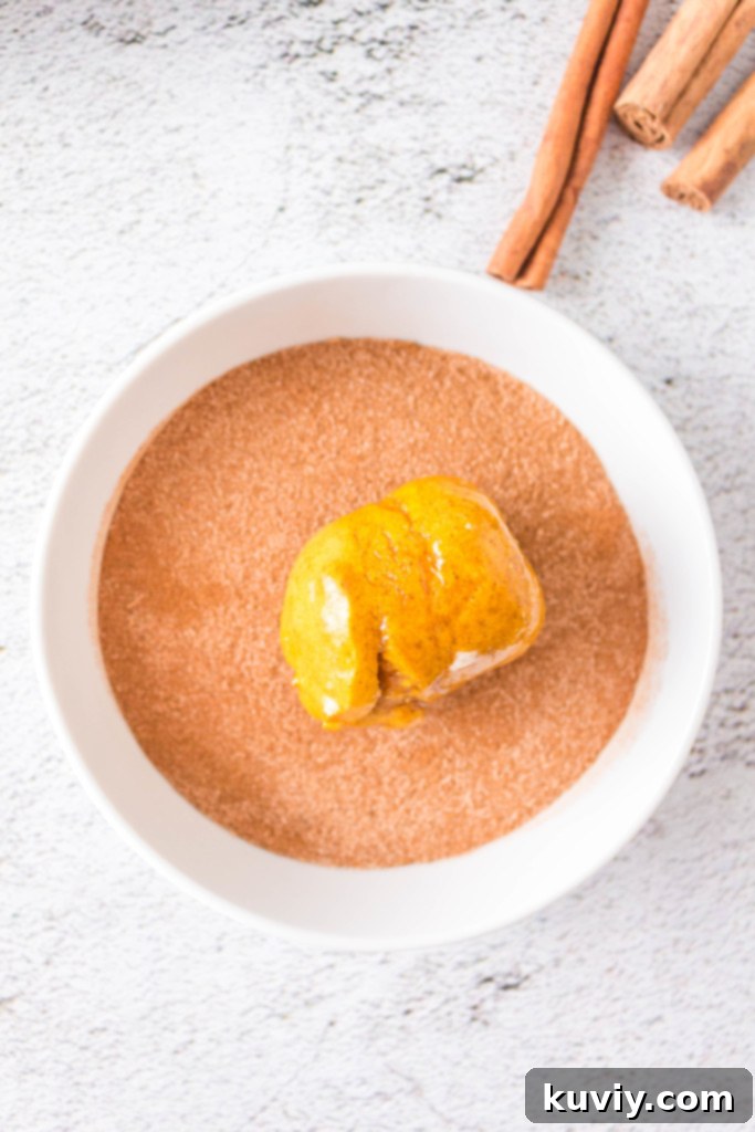 A selection of air fryer pumpkin doughnut holes dusted with cinnamon sugar.